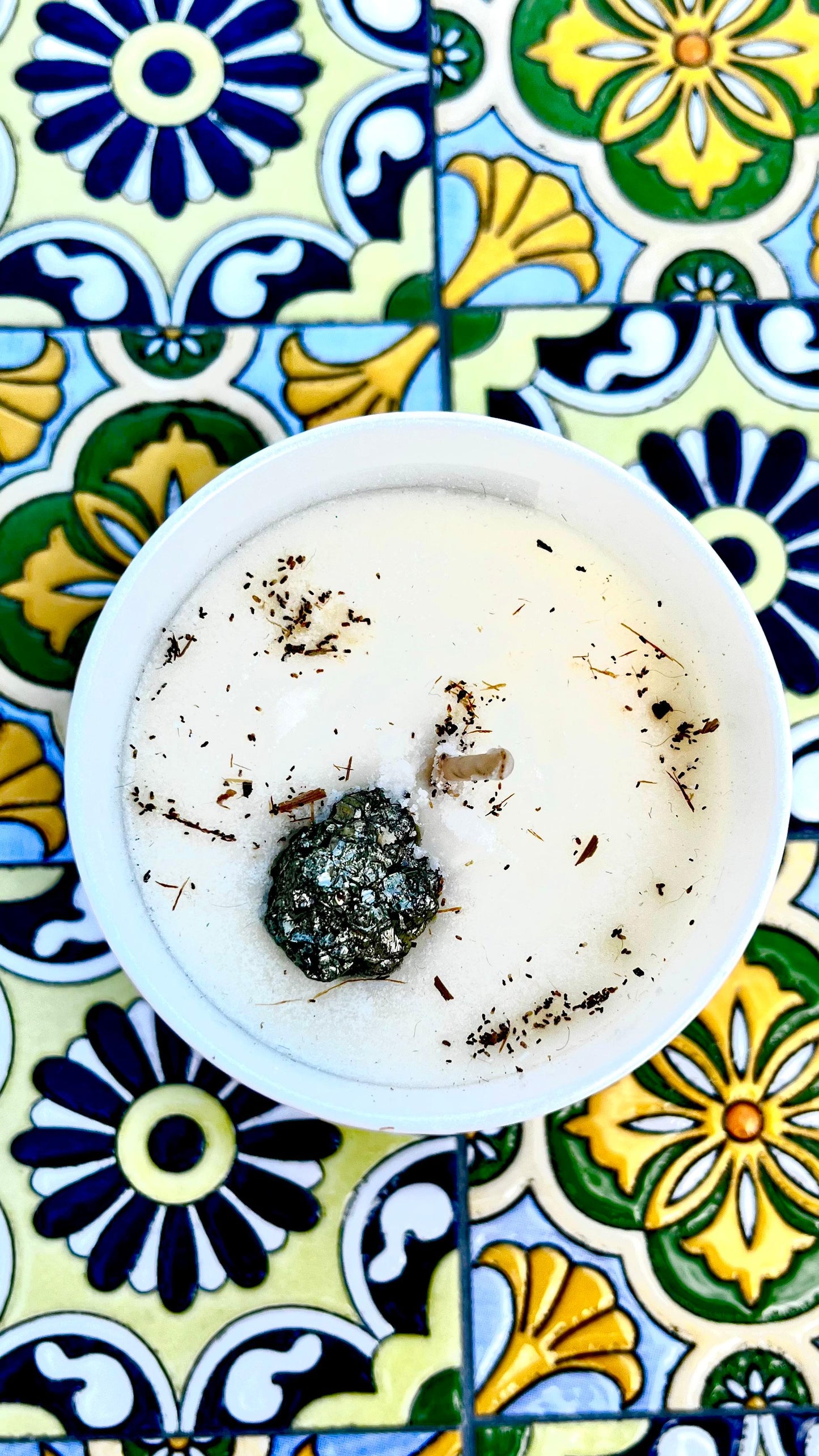 Sensational - Harmony Candle